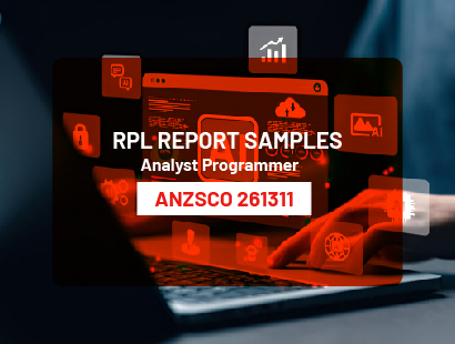 Analyst programmer