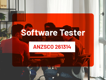 Software Tester