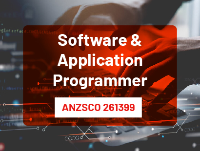 software and application programmer