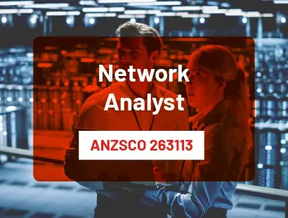 Network Analyst